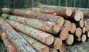 Ten, Funky Ways to Use Logs – Weatherall